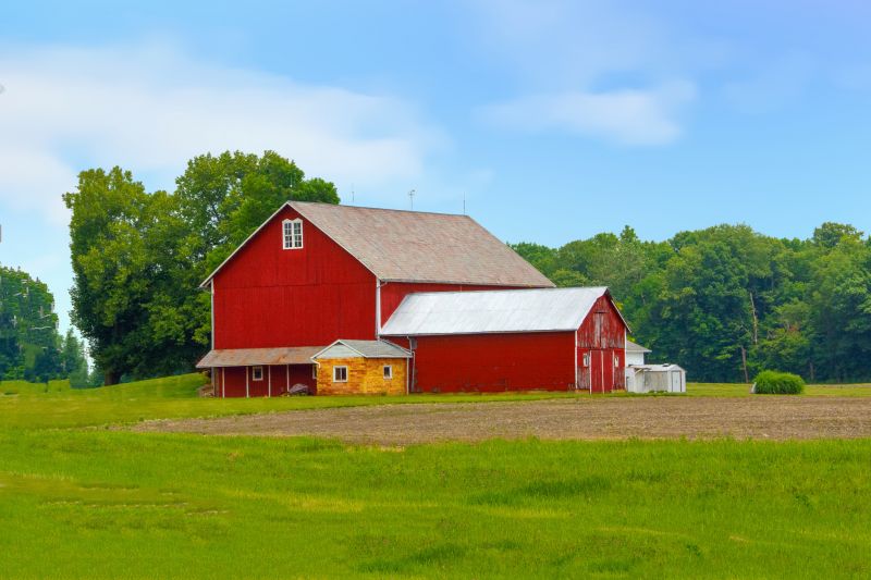 Barn Renovation in Conroe, TX