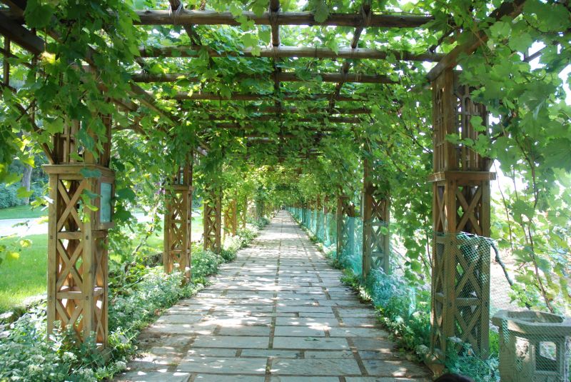 Garden Trellis Installation in Wilmington, NC