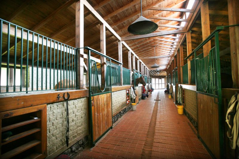 Horse Shelter Construction in Conroe, TX
