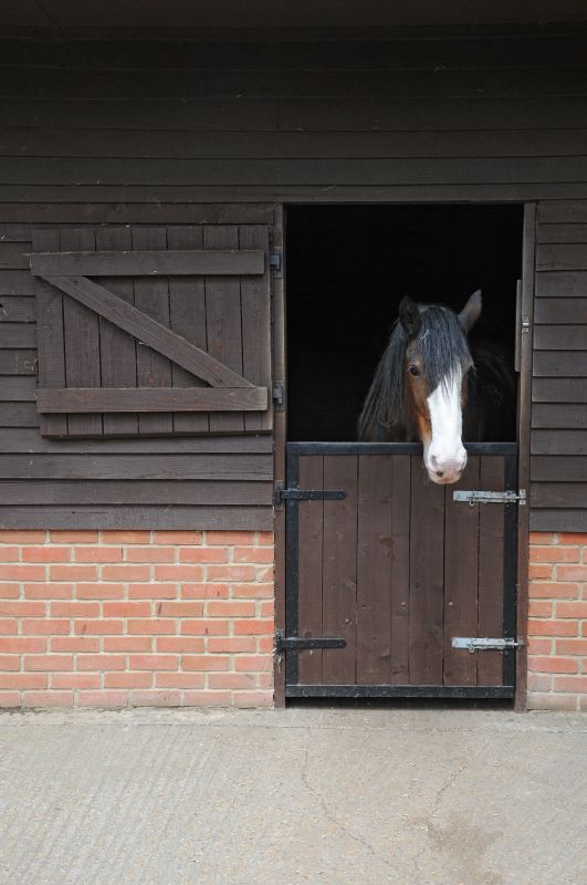 Horse Stall Repair in Overland Park, KS