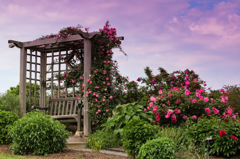 Rose Trellis Installation in Kansas City, KS