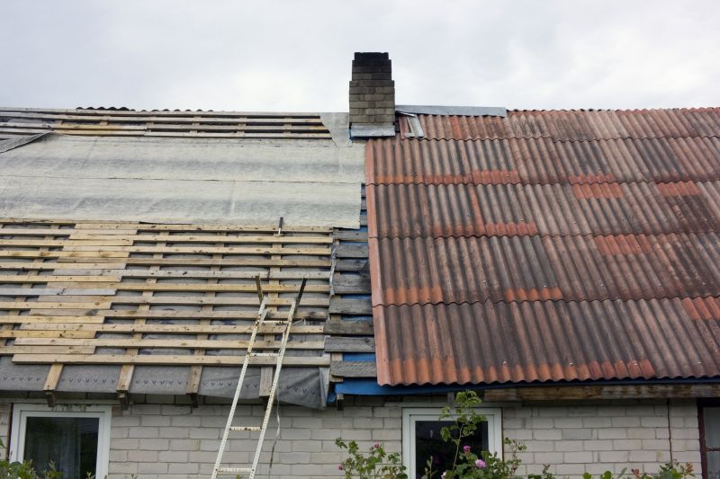 Shed Roof Repair in Wilmington, NC