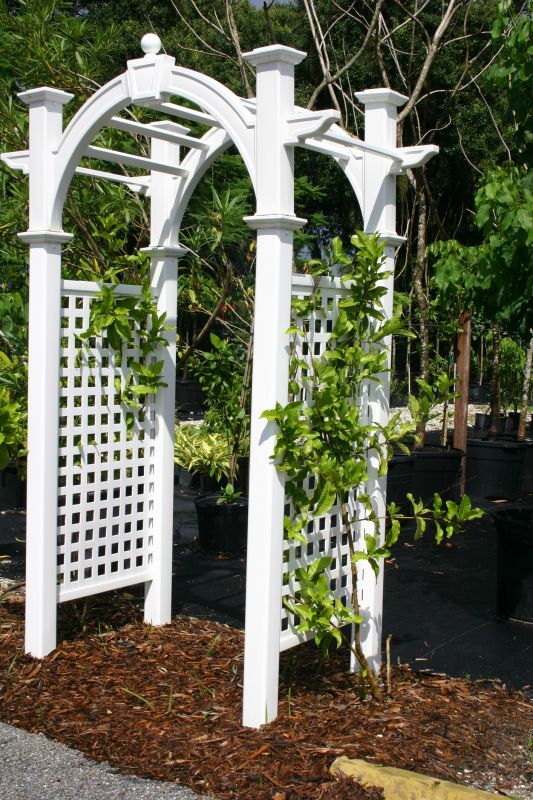 Arbor Installation in Conroe, TX