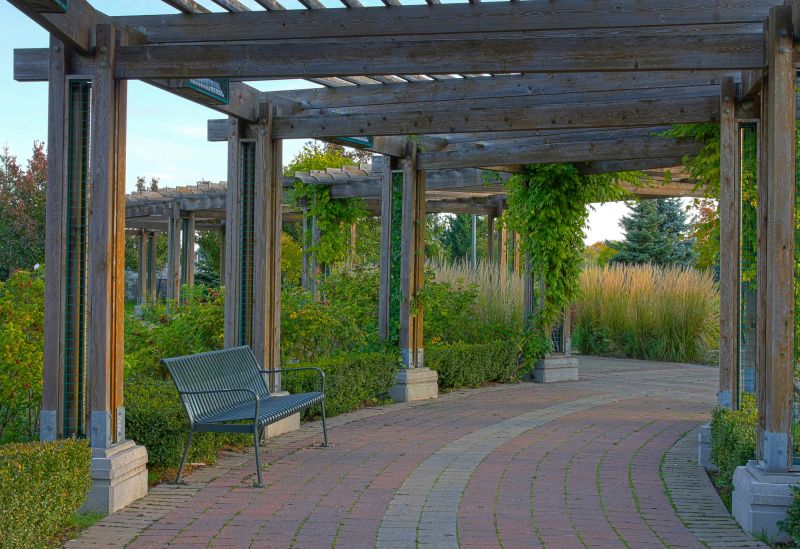Arbor Replacement in Wilmington, NC