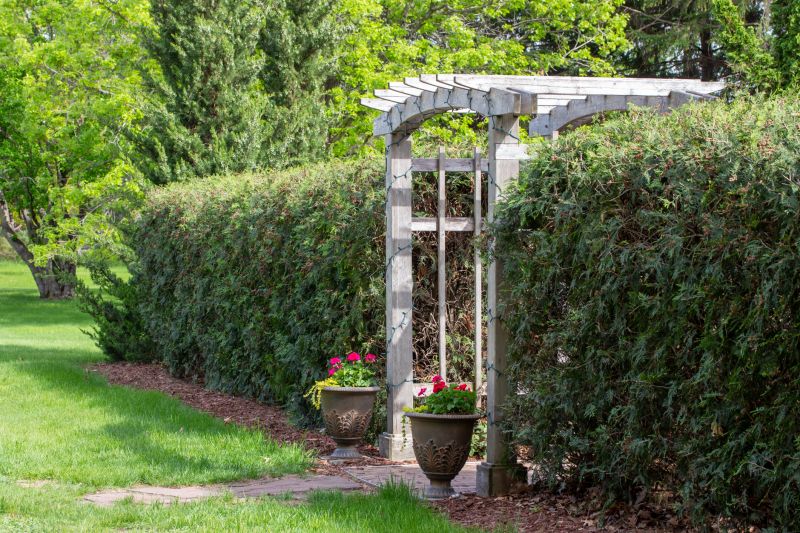 Arbor Replacement in Conroe, TX