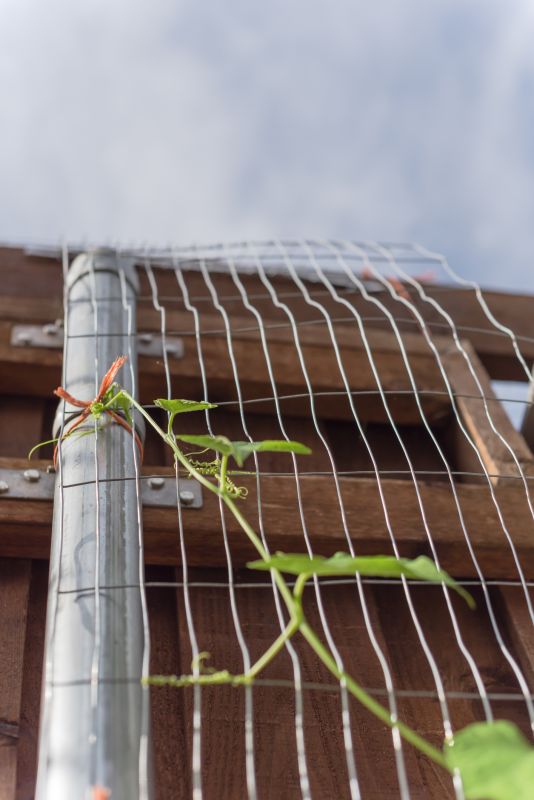 Garden Trellis Installation in Kansas City, KS