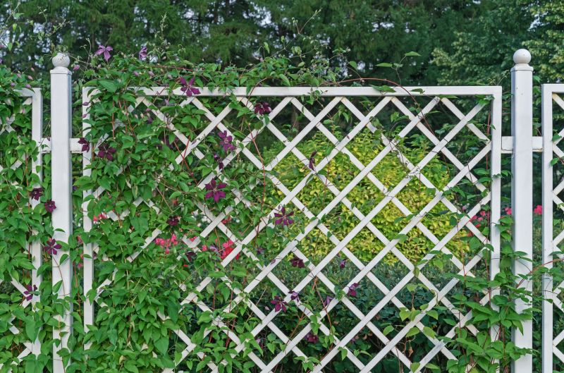 Garden Trellis Installation in Conroe, TX