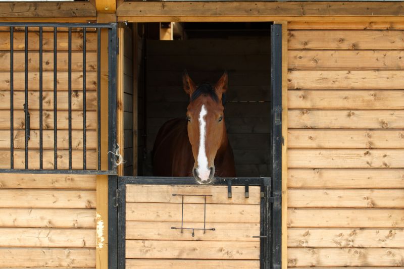 Horse Barn Construction in Wilmington, NC