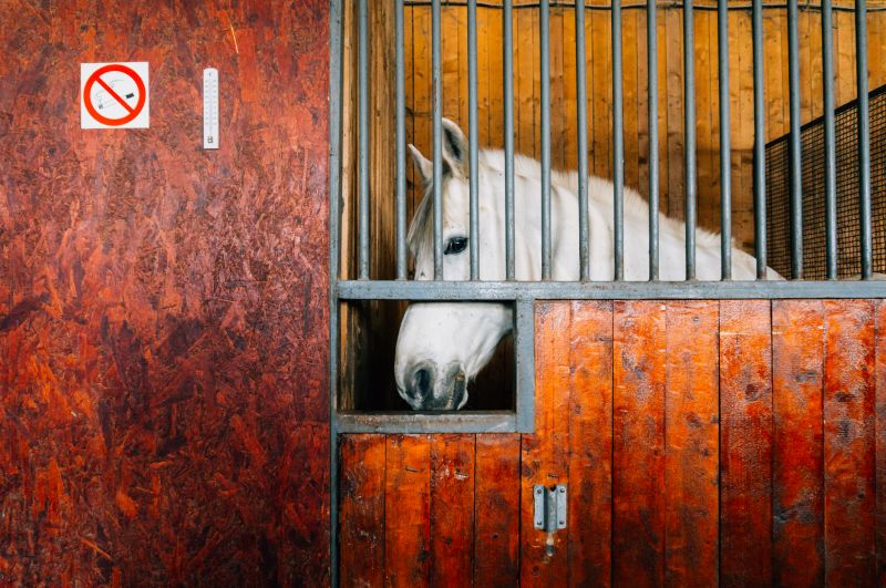 Horse Stall Repair in Kansas City, KS