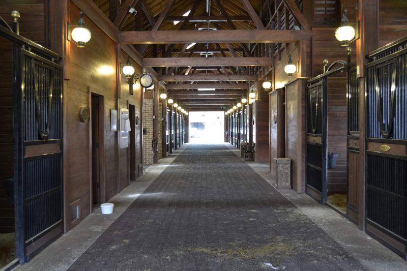 Horse Stall Repair in Olathe, KS