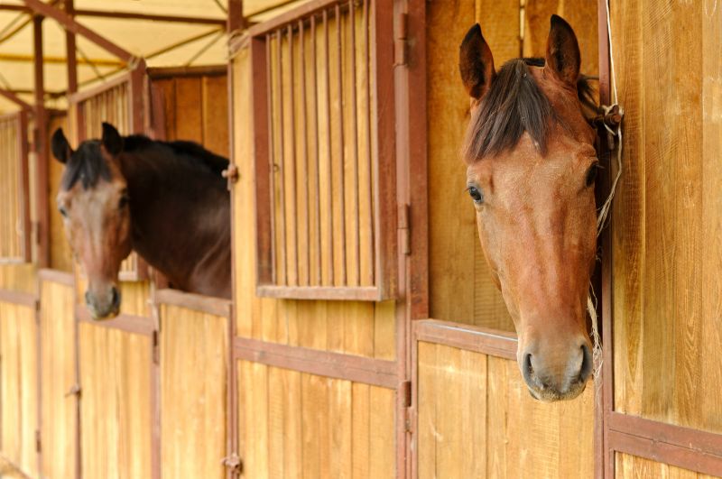 Horse Stall Repair in Olathe, KS