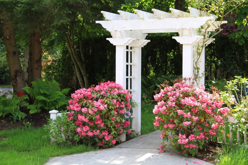Lattice Arbor Installation in Conroe, TX