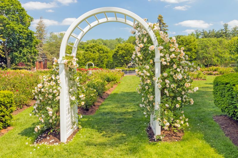 Rose Trellis Installation in Wilmington, NC