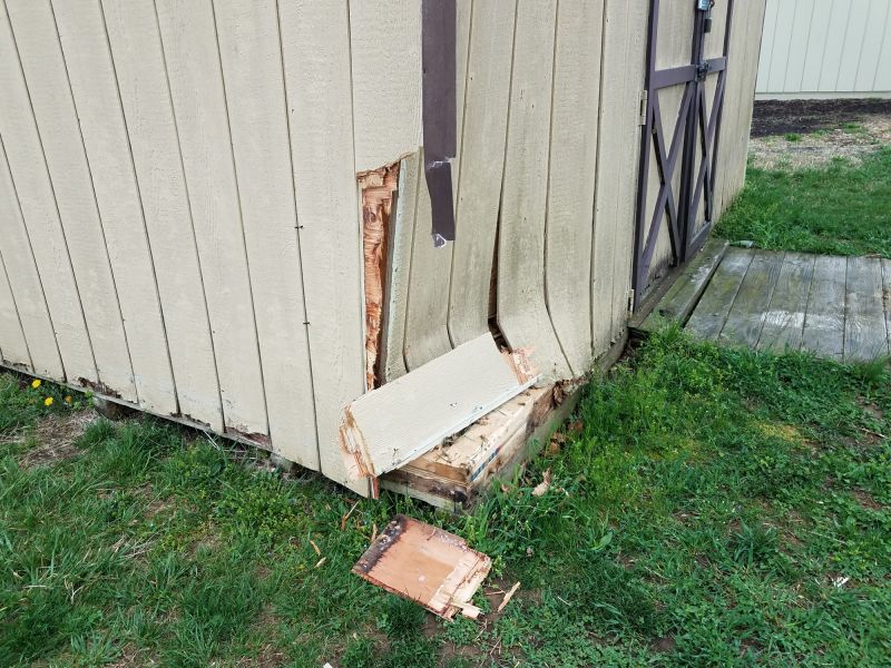 Shed Damage Repair in Kansas City, KS