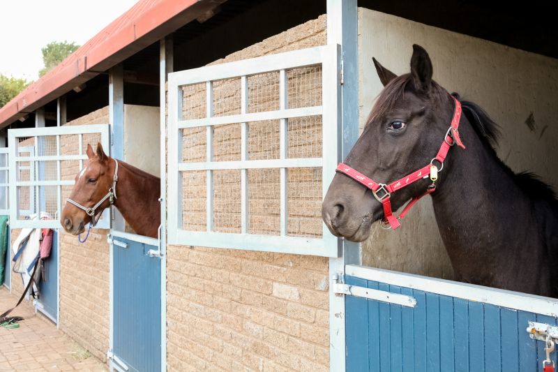Stable Repair in Wilmington, NC