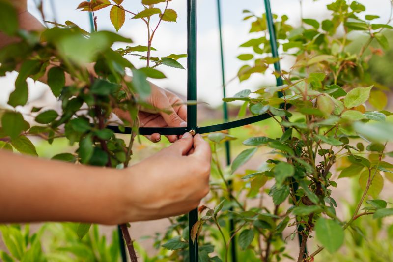Trellis Construction in Kansas City, KS