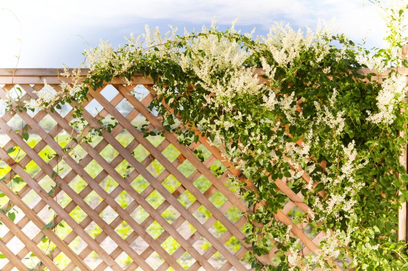 Trellis Fence Construction in Conroe, TX