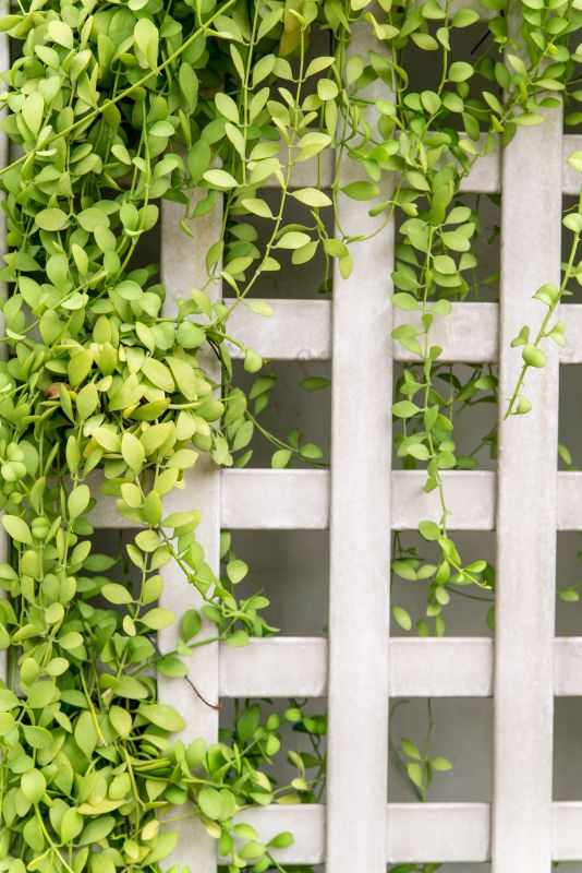 Trellis Fence Construction in Conroe, TX