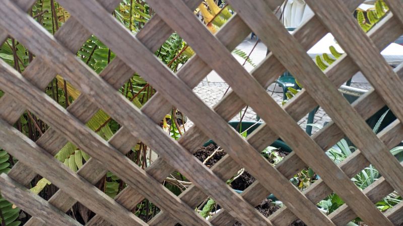 Wood Trellis Installation in Conroe, TX